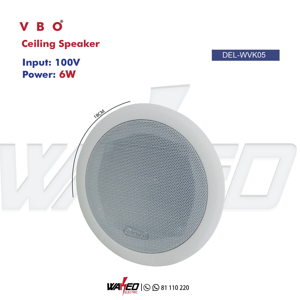 Ceiling Speaker
