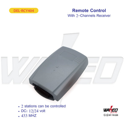 Remote Control - With 2 Channel Receiver