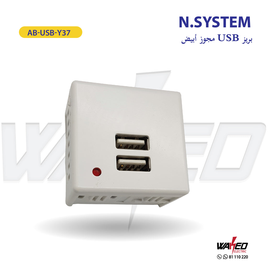 Dual USB Socket Charger