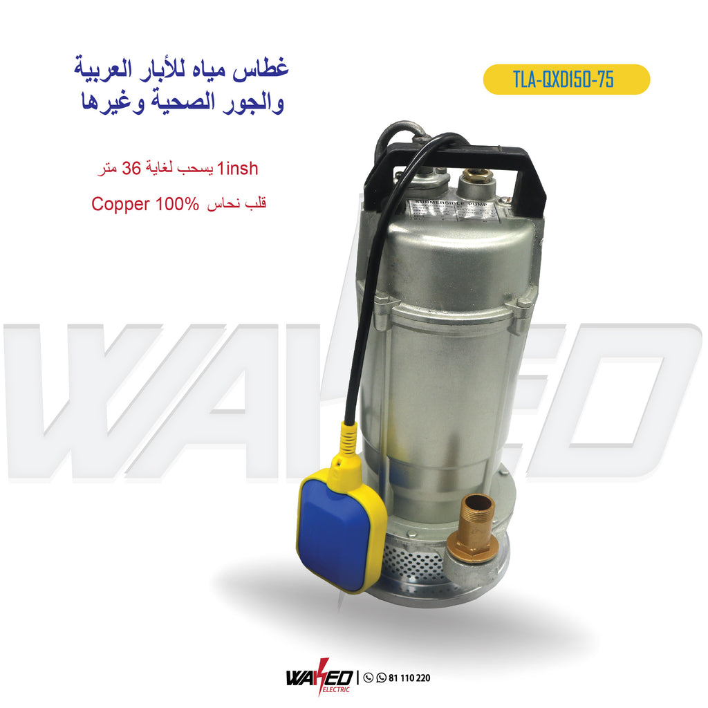 Well Water Pump - 1 inch