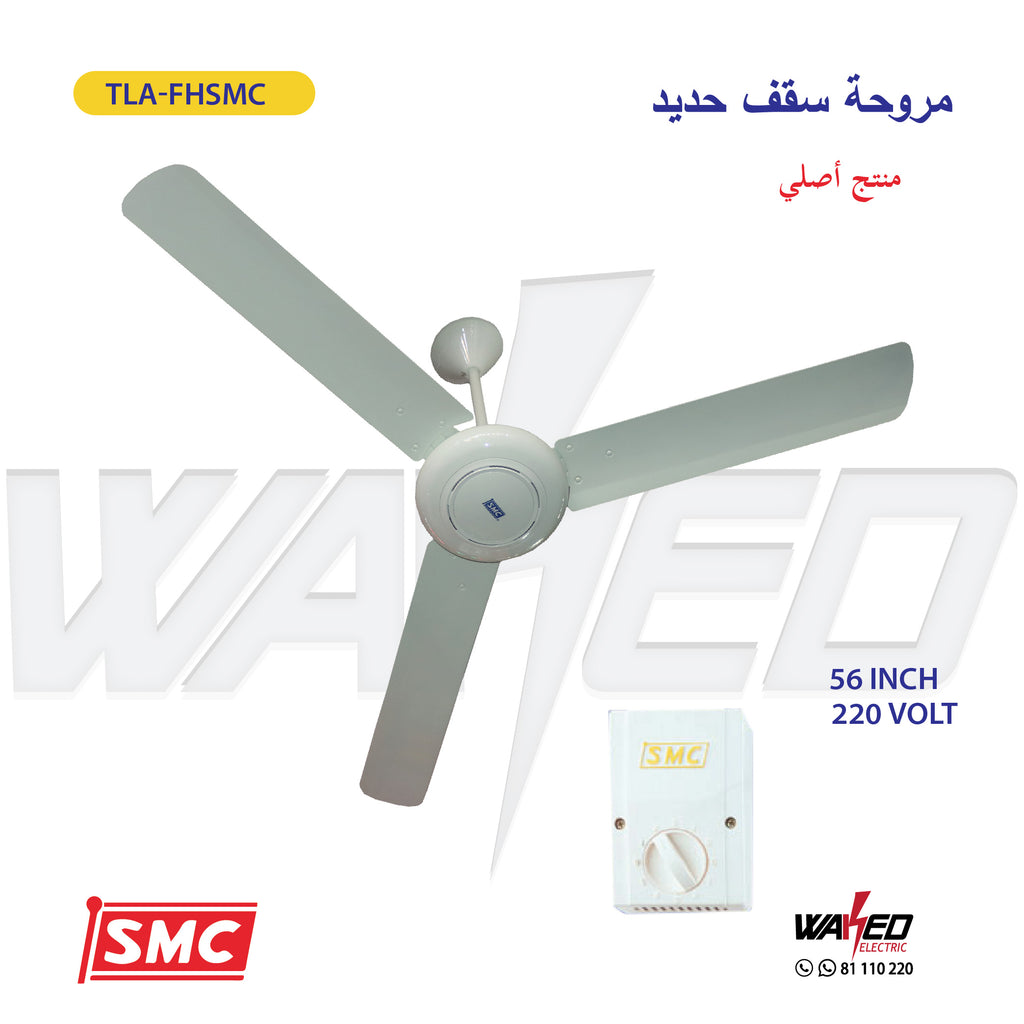 Ceiling Fan