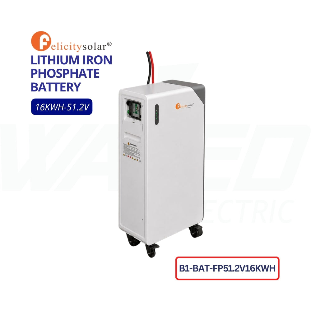 Felicity Solar Lithium Iron Phosphate Battery - 16kWh - 51.2V