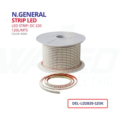 Strip Led DC 220 - 120L/MTS