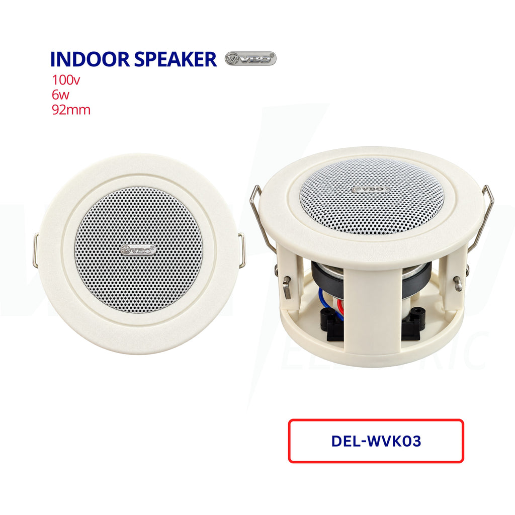 Ceiling Speaker (Indoor)