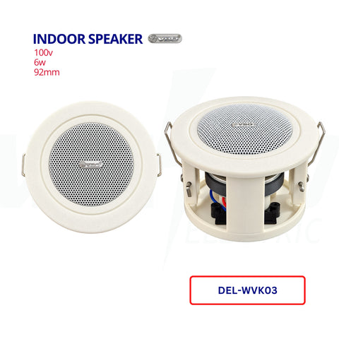 Ceiling Speaker (Indoor)