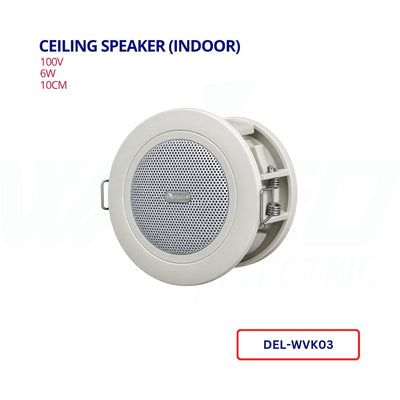 Ceiling Speaker (Indoor)