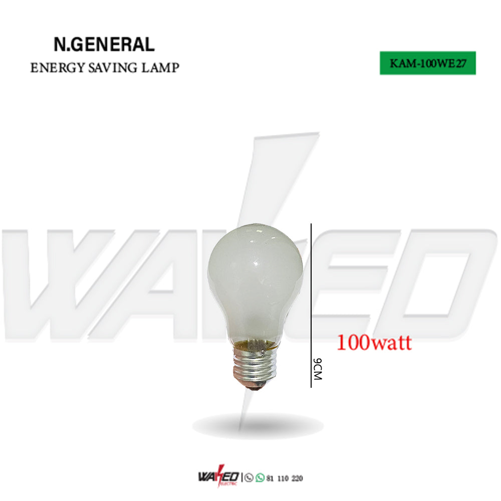 ENERGY SAVING LAMP - 100W