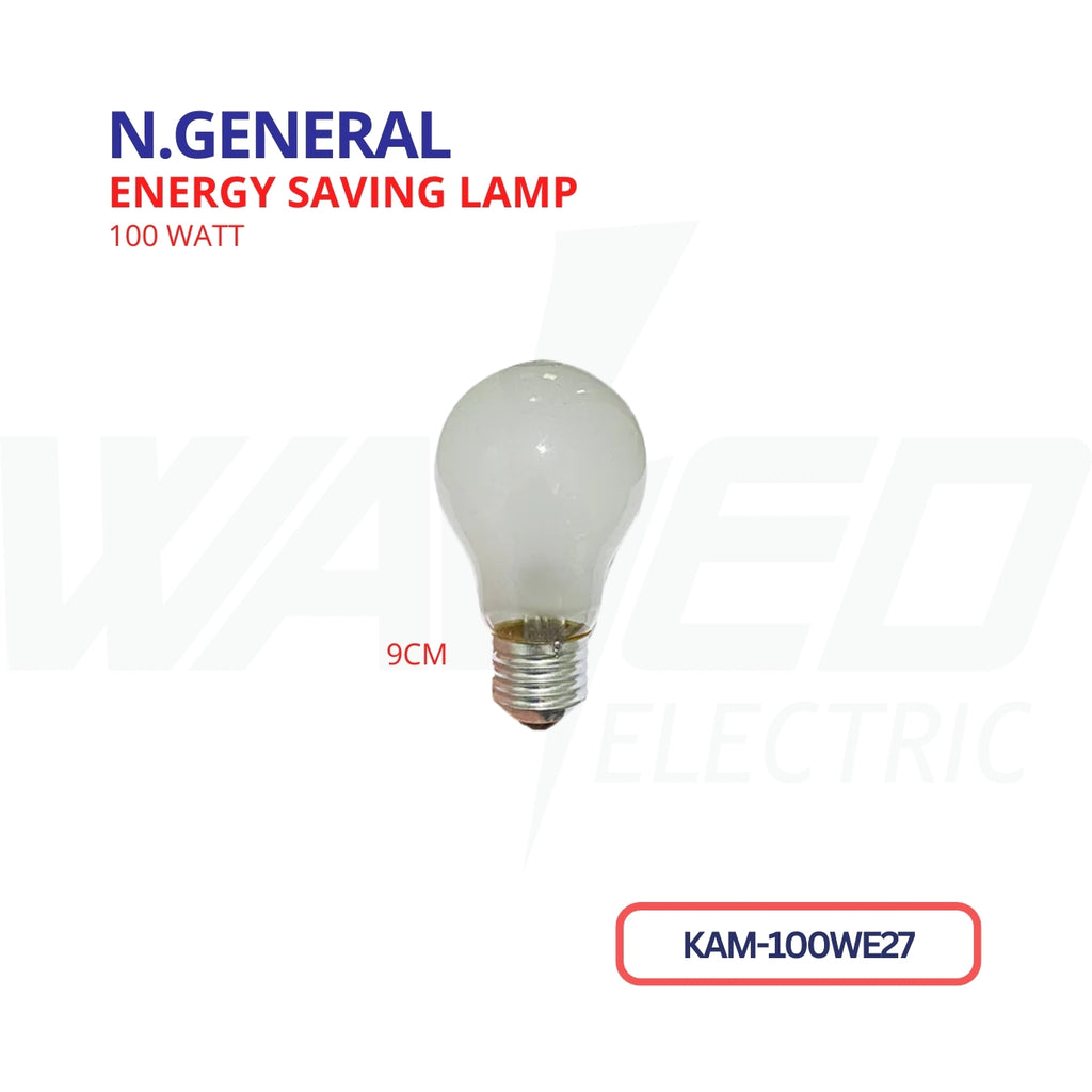 ENERGY SAVING LAMP - 100W