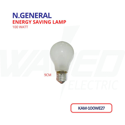 ENERGY SAVING LAMP - 100W