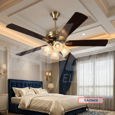 Ceiling Fan Light