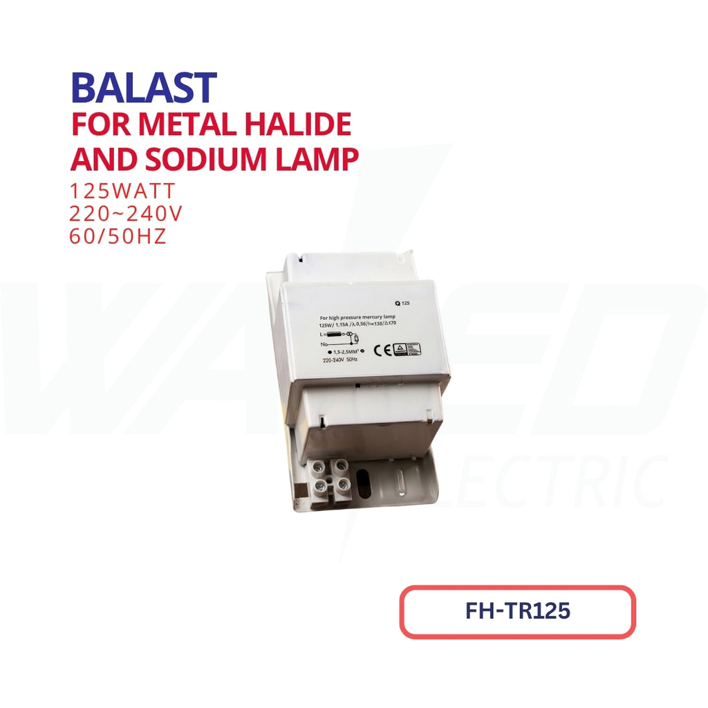 ballast - For Metal Halide and Sodium Lamp - 125W