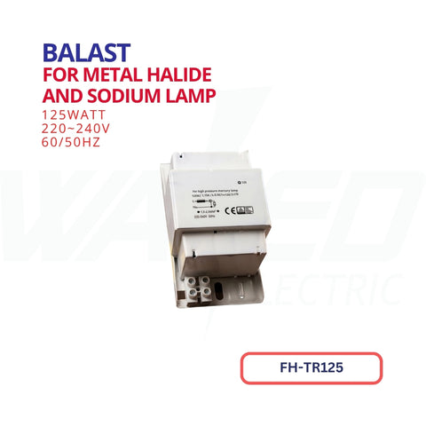 ballast - For Metal Halide and Sodium Lamp - 125W