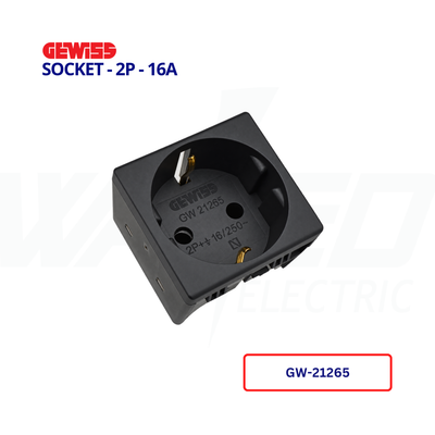 Socket - 2P - 16A
