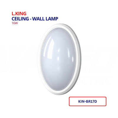 Ceiling - Wall Led Lamp