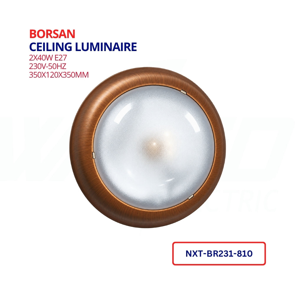 CEILING LUMINAIRE