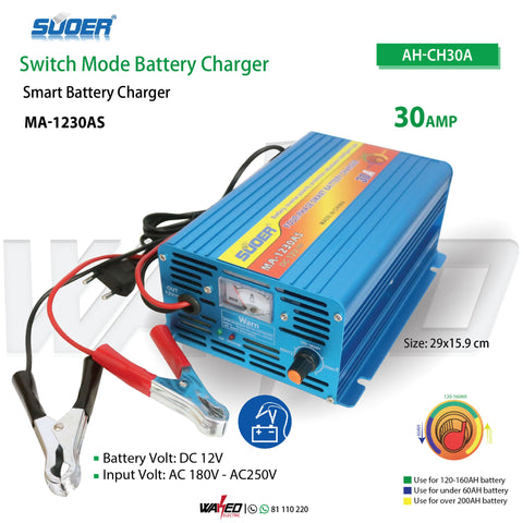 Eurteck 12V 20A Max Portable Battery Charger 110-240V Auto Moto