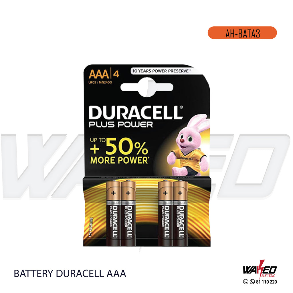 Battery Duracell  - AAA