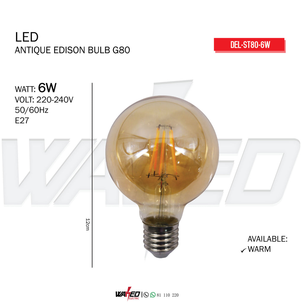LED ANTIQUE EDISON BULB G80 - 6W