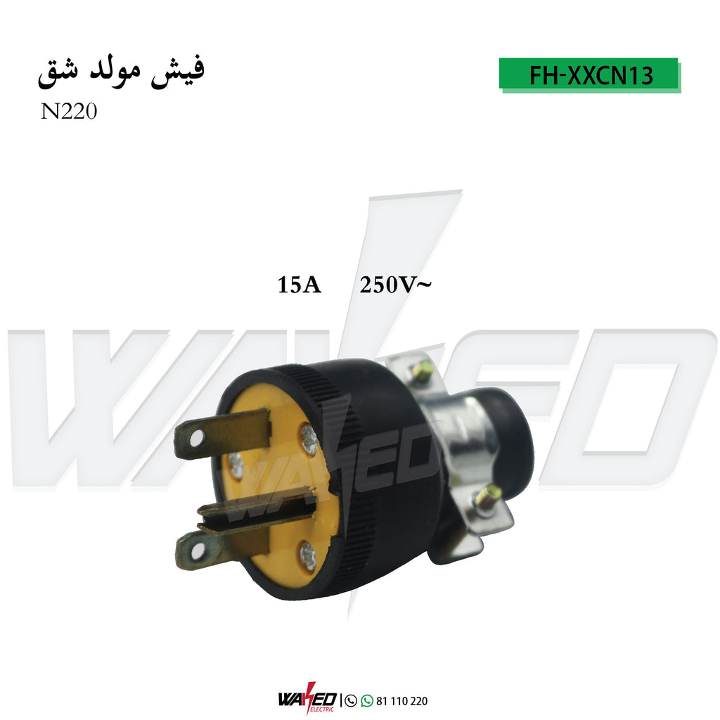 Generator Plug - N220 - 15A-250V