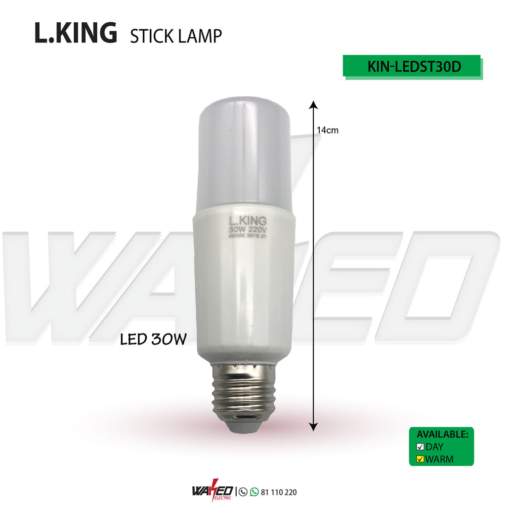 LED Lamp-30W Serie T