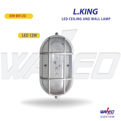 Wall Led Lamp