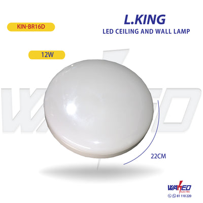 Ceiling - Wall Led Lamp