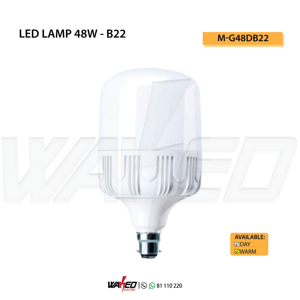 Led Lamp - 48W-B22