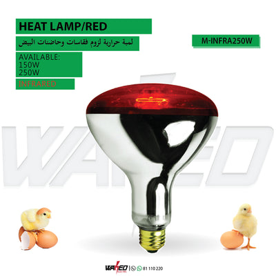Heat Lamp - Infrared