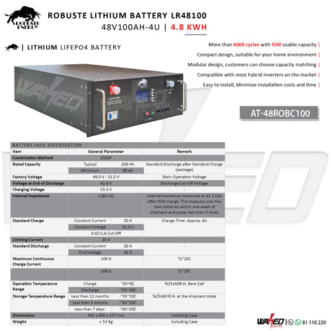 Robuste Lithium Battery - 4.8KWH 100A
