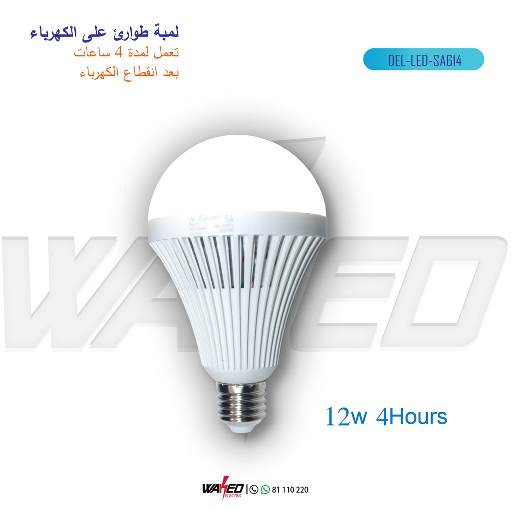 Rechargeable Bulb-12W